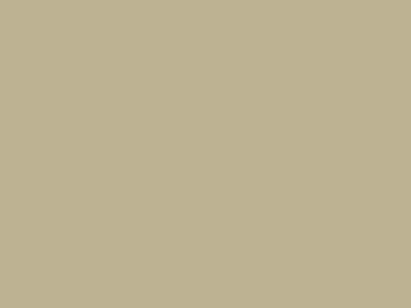 Lack 119 Beige metallic, spray